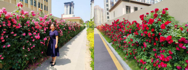 5.22 物業(yè)服務 合1.png 5.22 物業(yè)服務 合1.png